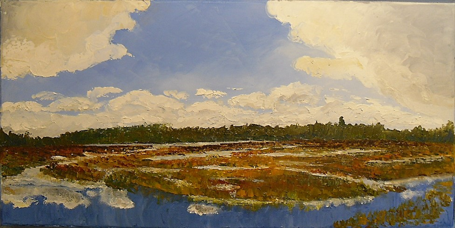  swamp landscape