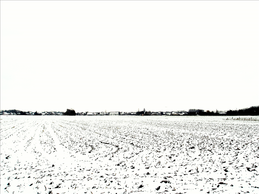 sneeuwlandschap