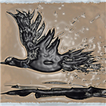 Edit